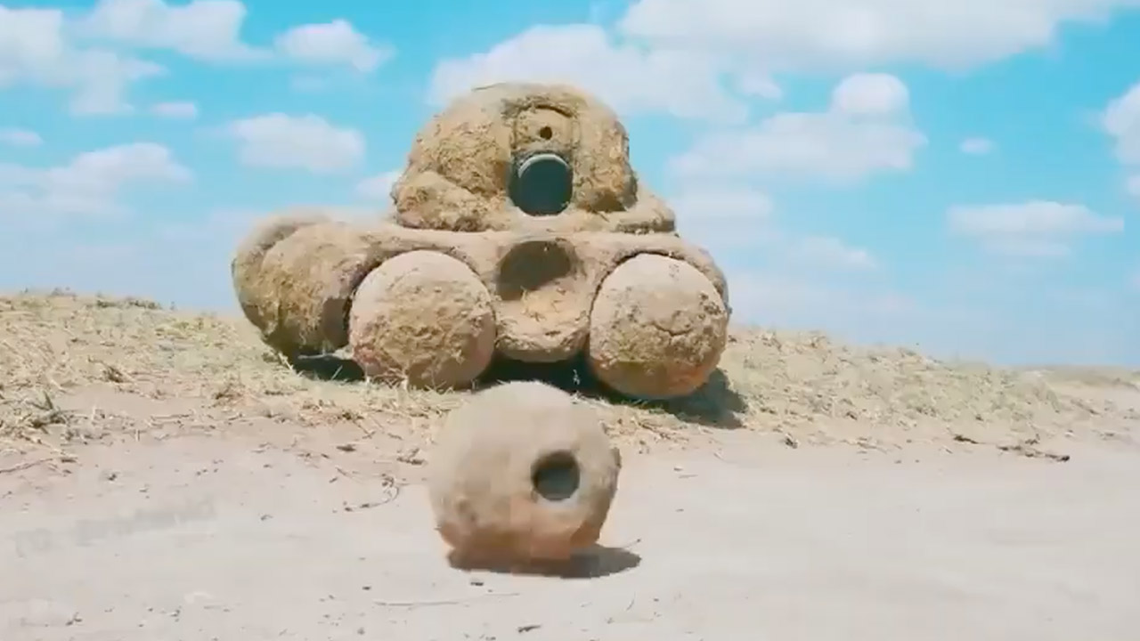 Vida selvagem por um ângulo que você nunca viu!