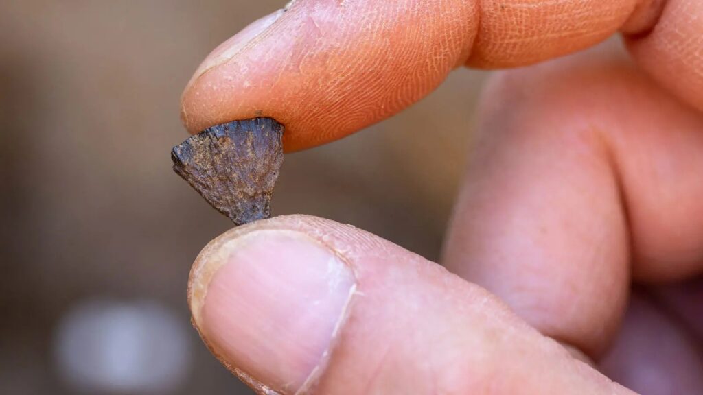 Evidência mostra que neandertais fabricavam fogo intencionalmente