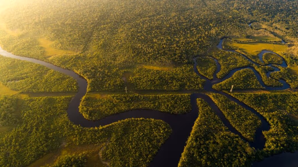 O “cemitério de máquinas” escondido na Amazônia