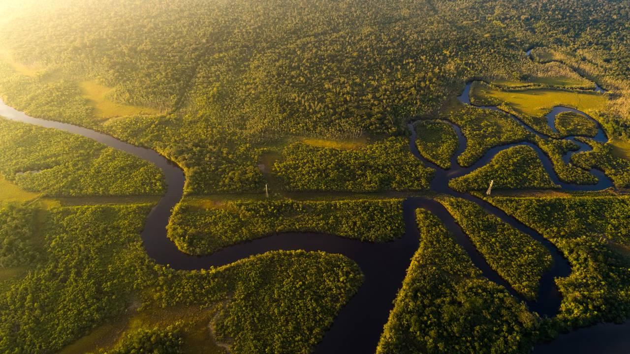 O “cemitério de máquinas” escondido na Amazônia