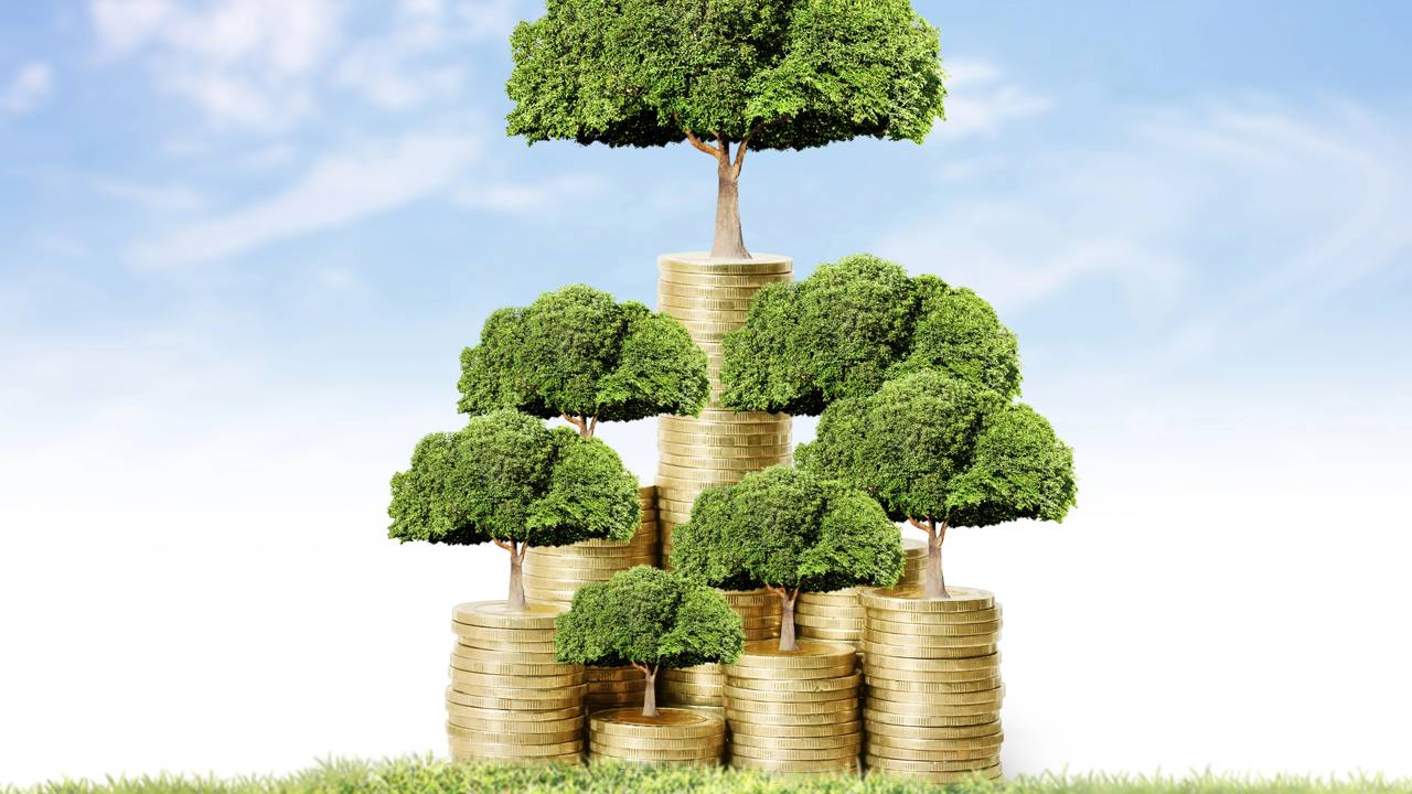 Essas profissões verdes estão bombando com o clima e a tecnologia