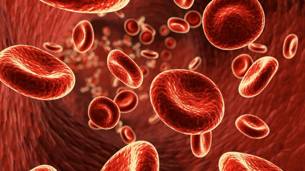 O que seu corpo tenta dizer com os sintomas silenciosos da anemia