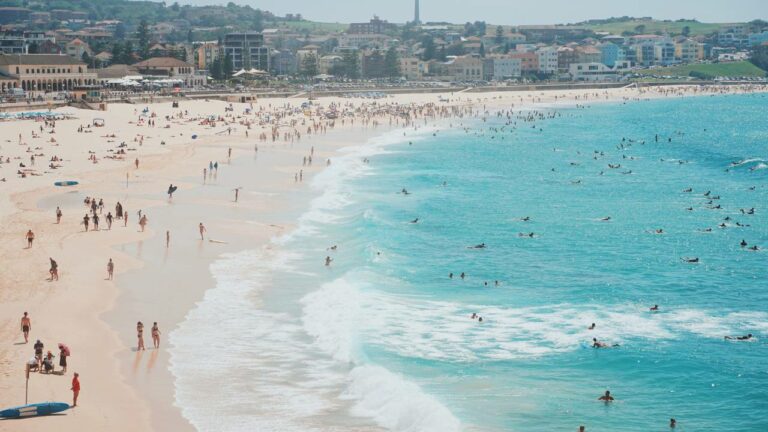 Imagem Destaque