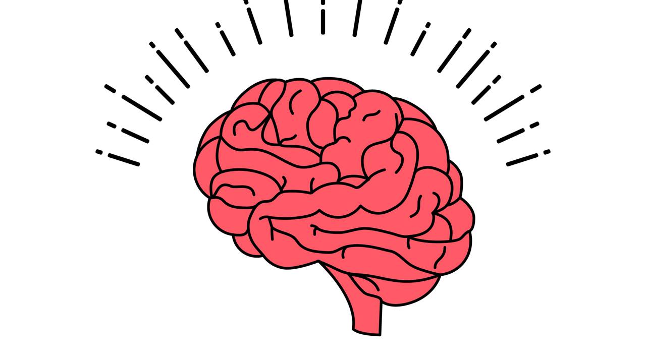 O que aconteceria se fosse possível usar 100% do cérebro humano