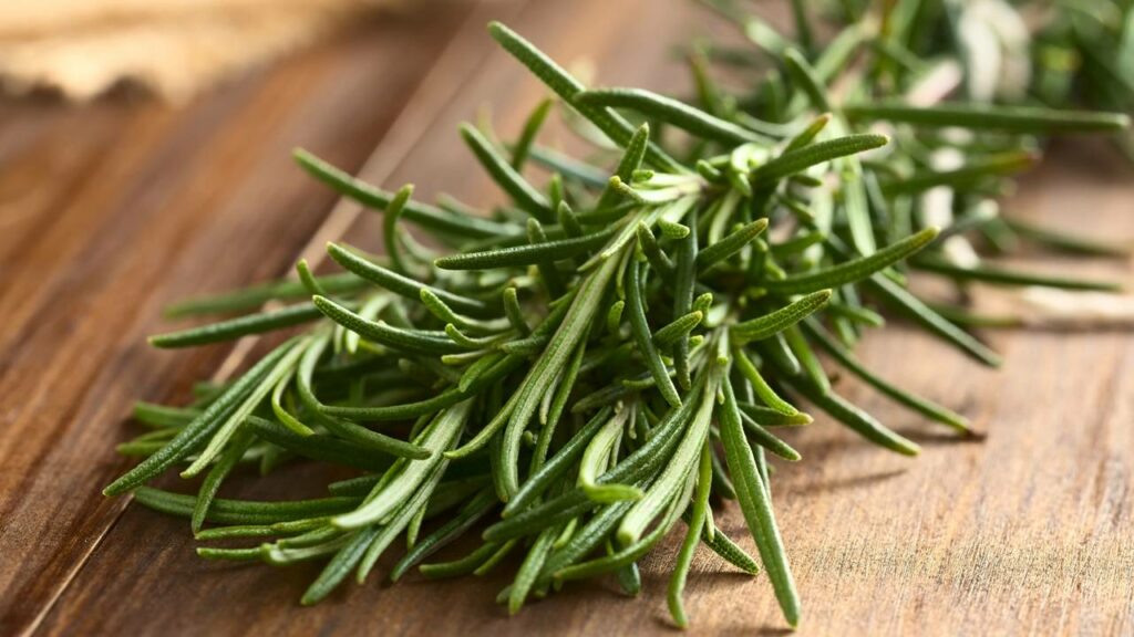 O chá de alecrim é um poderoso antioxidante - Créditos: depositphotos.com / ildi_papp