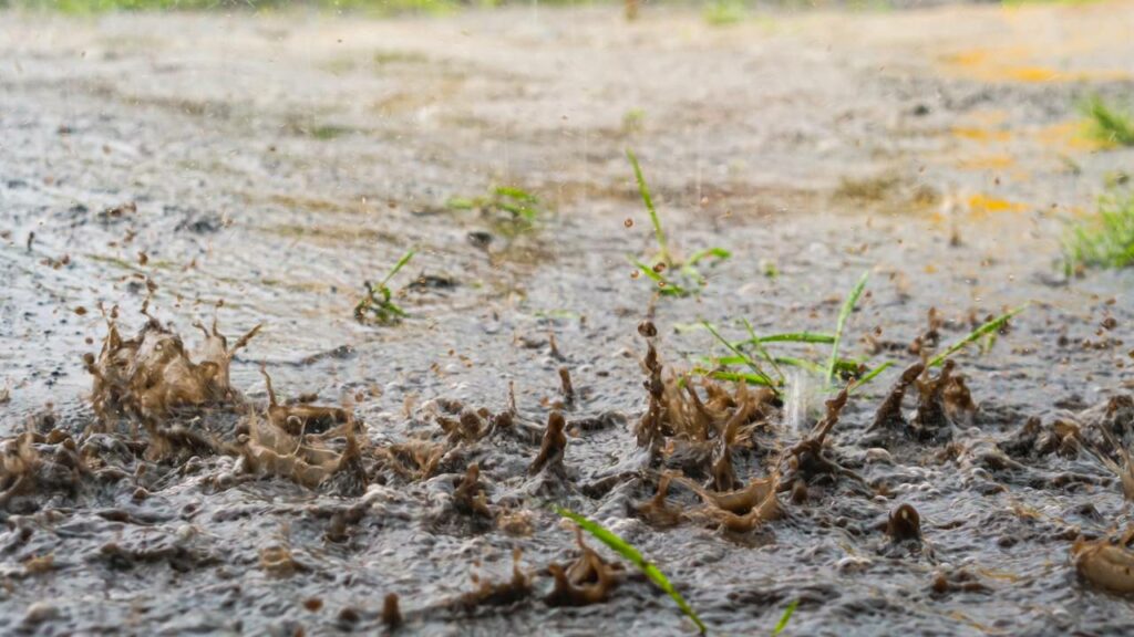 São Paulo se prepara para enfrentar uma maratona de chuva
