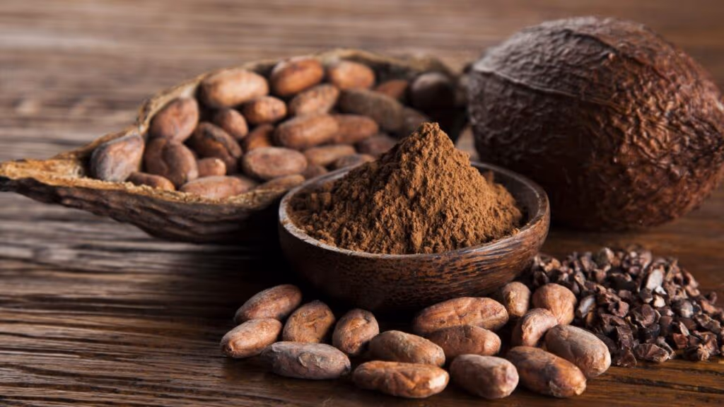 O que o cacau faz pelo seu cérebro segundo novos estudos