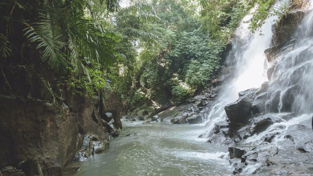 A Amazônia oculta, uma das regiões mais isoladas do Brasil