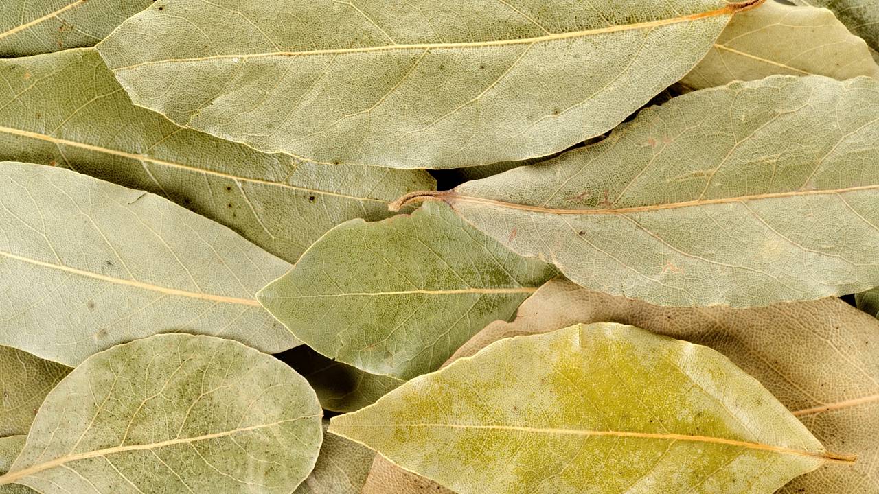 Para que serve esfregar folhas de louro na churrasqueira antes do churrasco