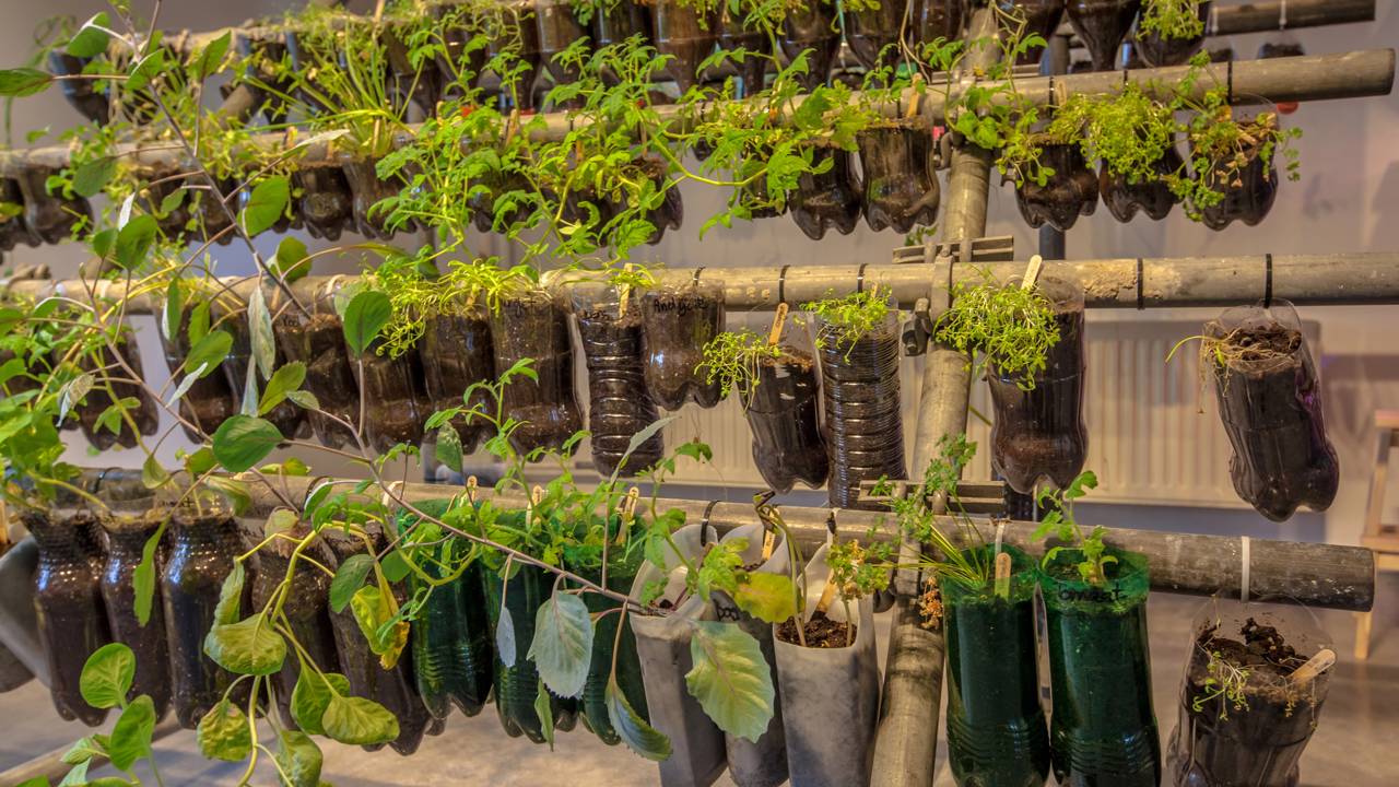 Essa horta vertical de alta produtividade é feita usando apenas garrafas PET