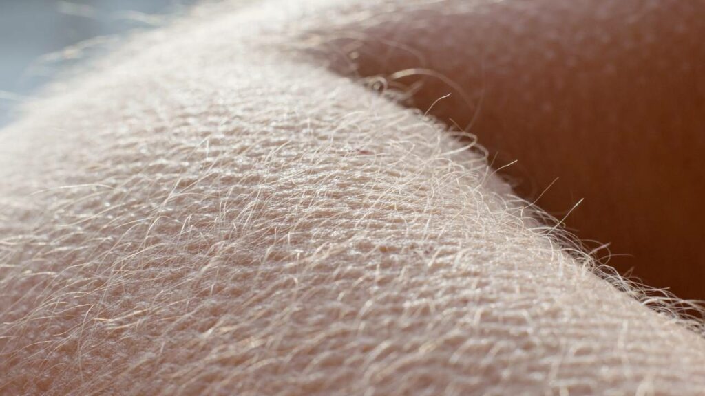 Um calafrio seguido de um arrepio que vem do nada - Créditos: depositphotos.com / Tunatura