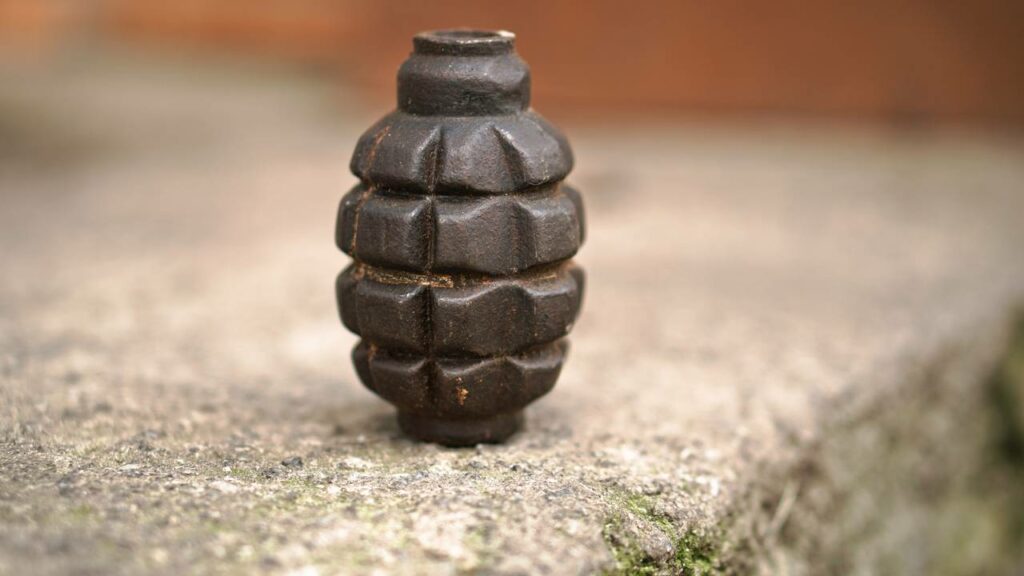 Granada é encontrada em posto no coração de SP