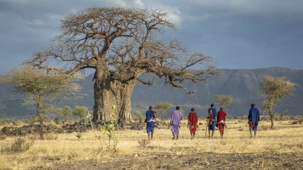 Deixar morrer uma língua de 90.000 anos pode ser o erro mais caro do nosso futuro