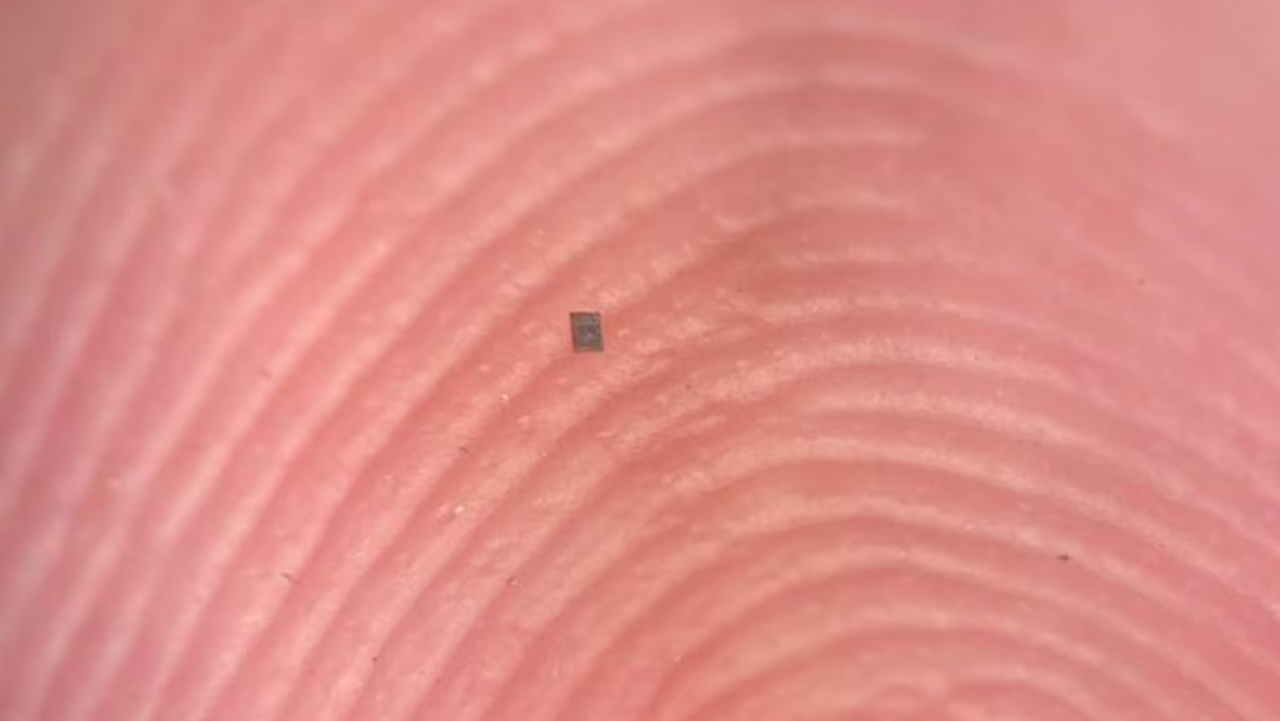 Avanço científico surpreende com robôs minúsculos capazes de atuar em escala celular