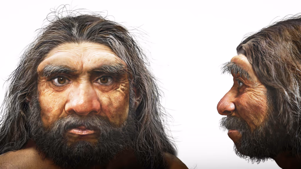 Fóssil conhecido como “Dragon Man” ajuda a reescrever a história da evolução humana