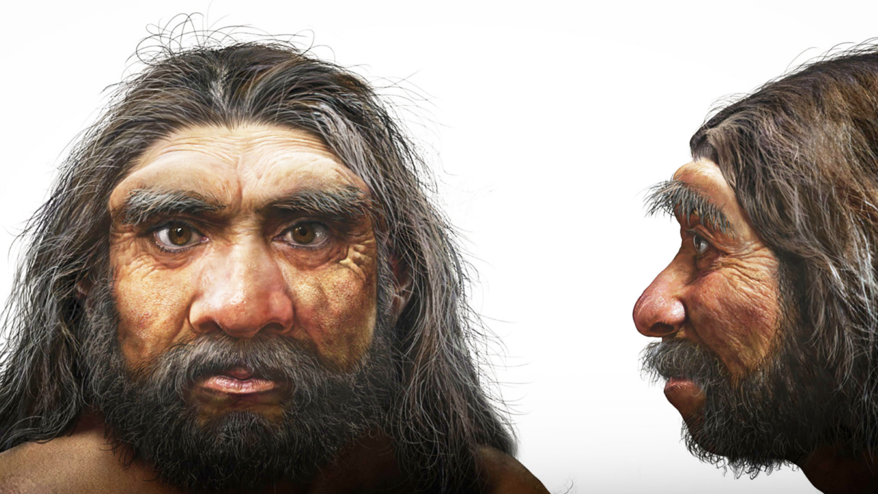 Fóssil conhecido como “Dragon Man” ajuda a reescrever a história da evolução humana