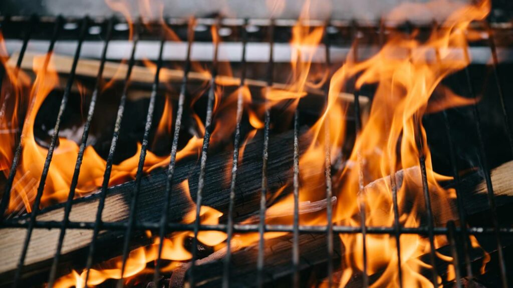 Diferentes tipos de lenha trazem sabores diferentes para a carne - Créditos: depositphotos.com / EdZbarzhyvetsky