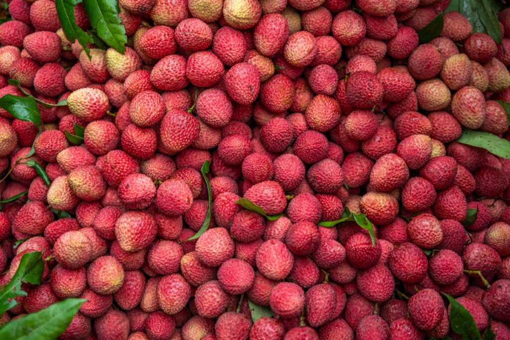 Lichia: 8 benefícios para a saúde e como usá-la na ceia de Natal