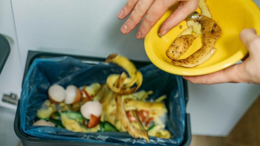 O lixo cheio da cozinha é um prato cheio para insetos indesejados invadirem sua casa - Créditos: depositphotos.com / Irrmago