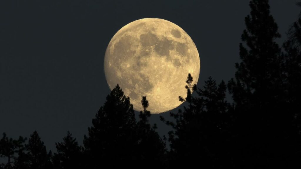O que aconteceria se a Lua caísse na Terra em 12 meses