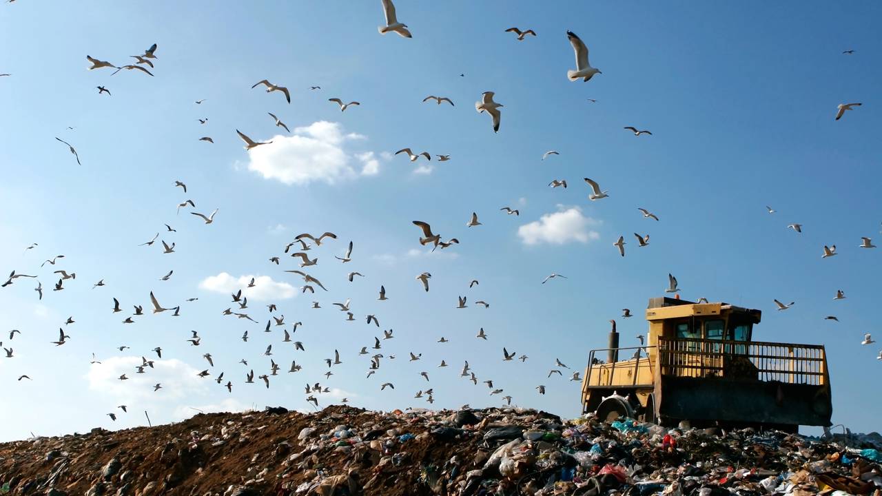 Esse lixão gigante virou mina de ouro para a indústria