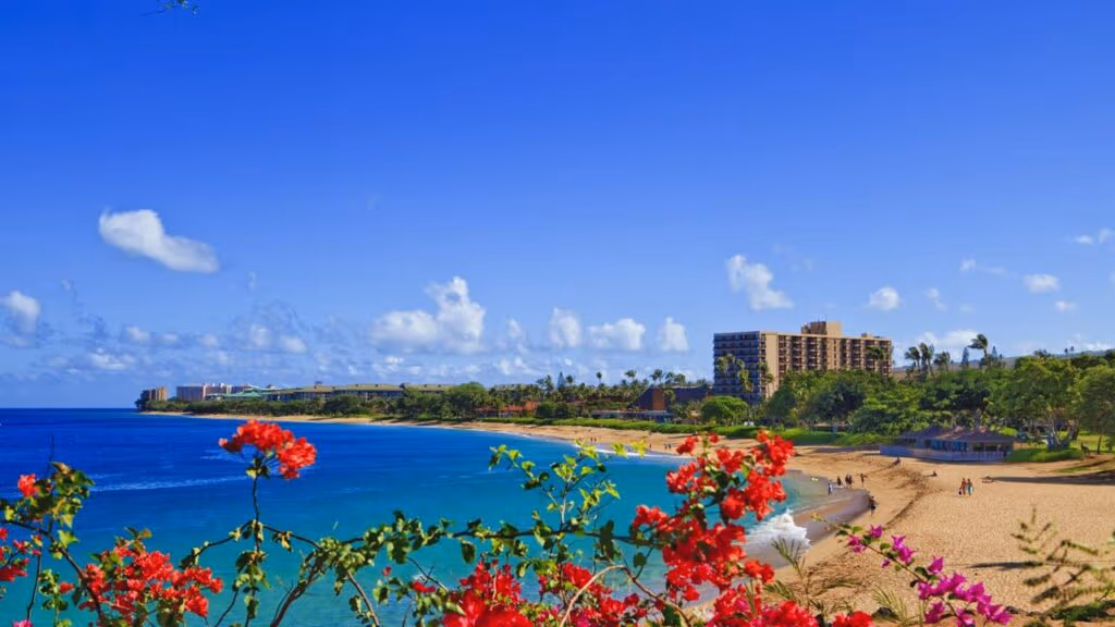 Ilha no Havaí declara guerra aos Airbnbs