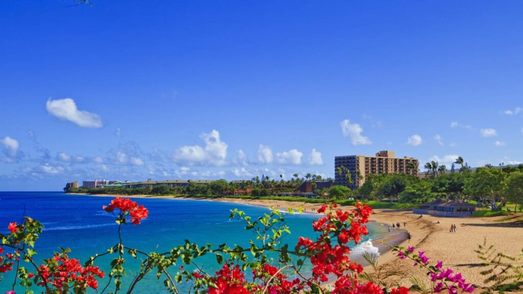 Ilha no Havaí declara guerra aos Airbnbs