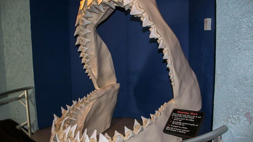 Essas são as maiores criaturas que já existiram na Terra