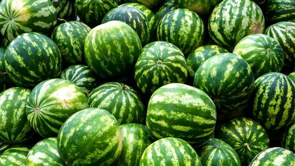 Homem morre após participar de “torneio de comer melancias”