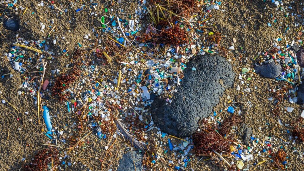 Os microplásticos se tornaram um problema no mundo todo, podendo ser encontrados em todo lugar - Créditos: depositphotos.com / Gaibru_Photo