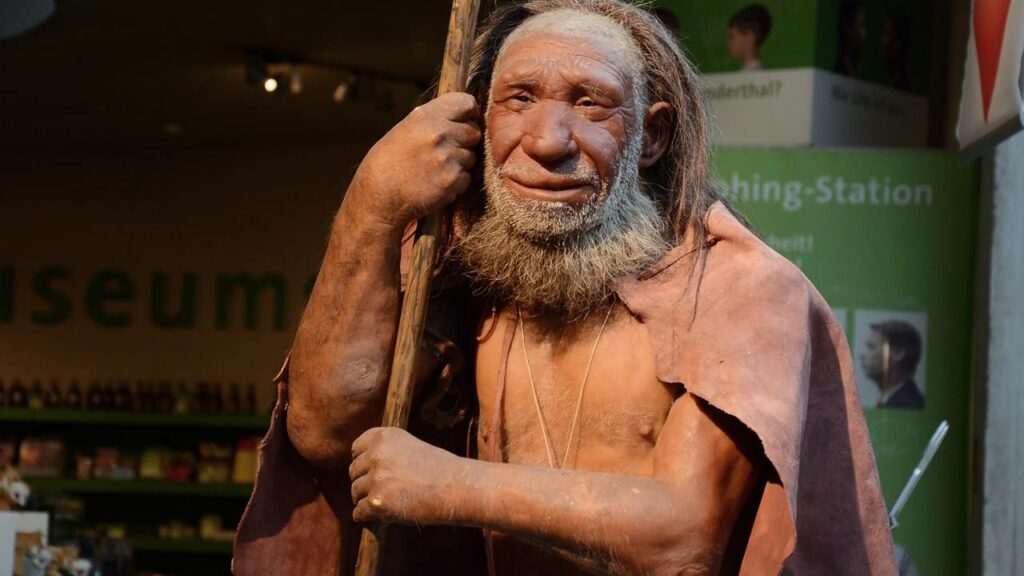 Evidência mostra que neandertais fabricavam fogo intencionalmente