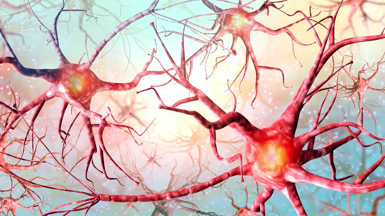 Estudo aponta que reduzir essa proteína pode proteger neurônios e frear avanço do Alzheimer