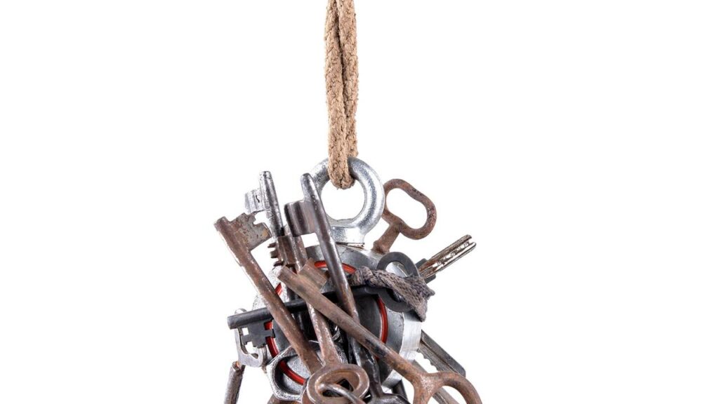 Ele jogou um ímã gigante no Tietê e olha só o que veio grudado