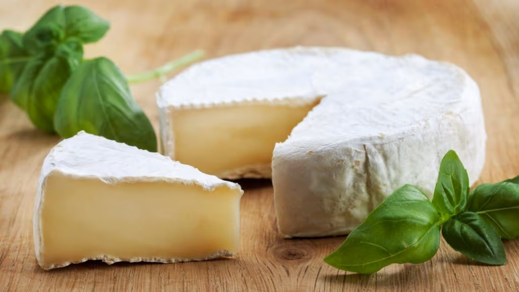 Estudo revela que o queijo pode ser um grande combatente do Alzheimer