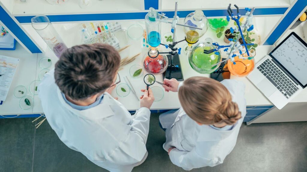 Uma escola do interior está derrubando o mito de que "química é difícil"