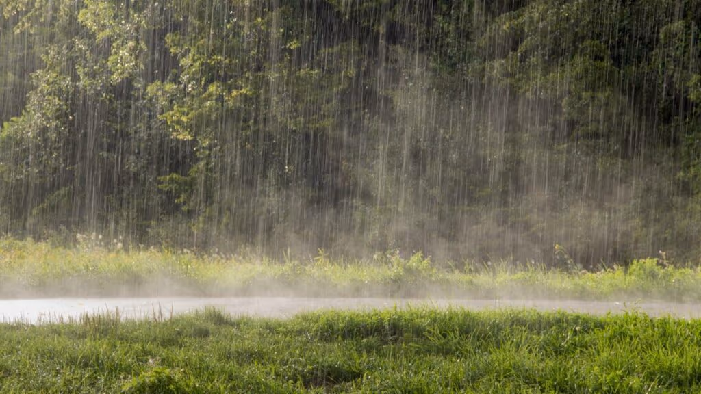A ciência por trás do cheiro de chuva que todo mundo reconhece