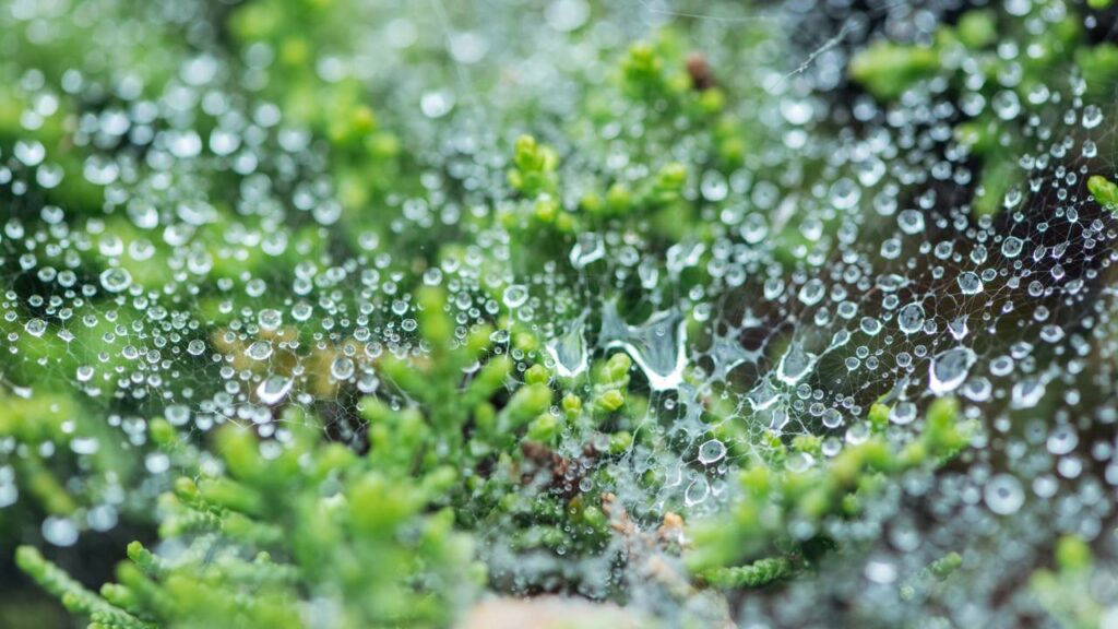 A geosmina é produzida do contato da água com a terra - Créditos: depositphotos.com / MicEnin