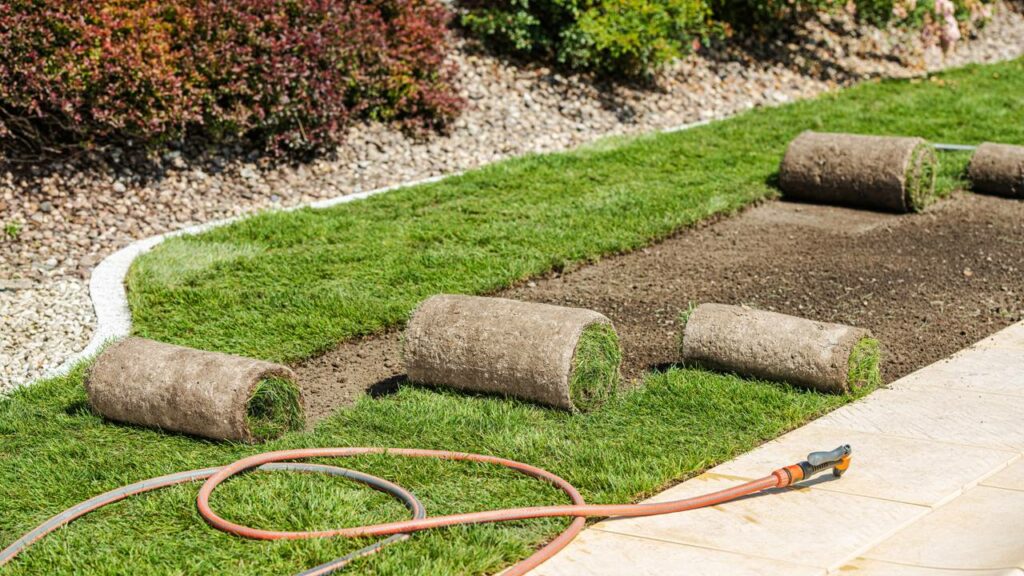 Ele transformou o quintal sozinho e economizou uma fortuna absurda