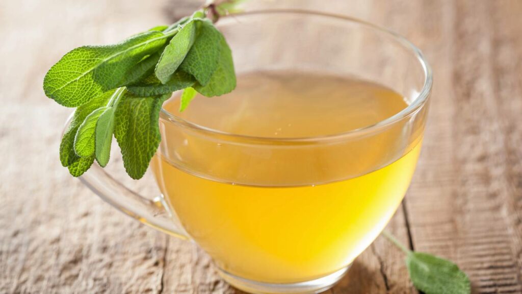 Para que serve o chá de sálvia e como usar no dia a dia