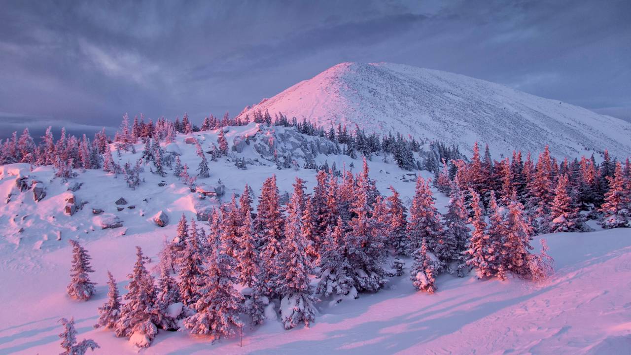 Essa família criou 22 filhos num lugar onde faz 64 graus negativos