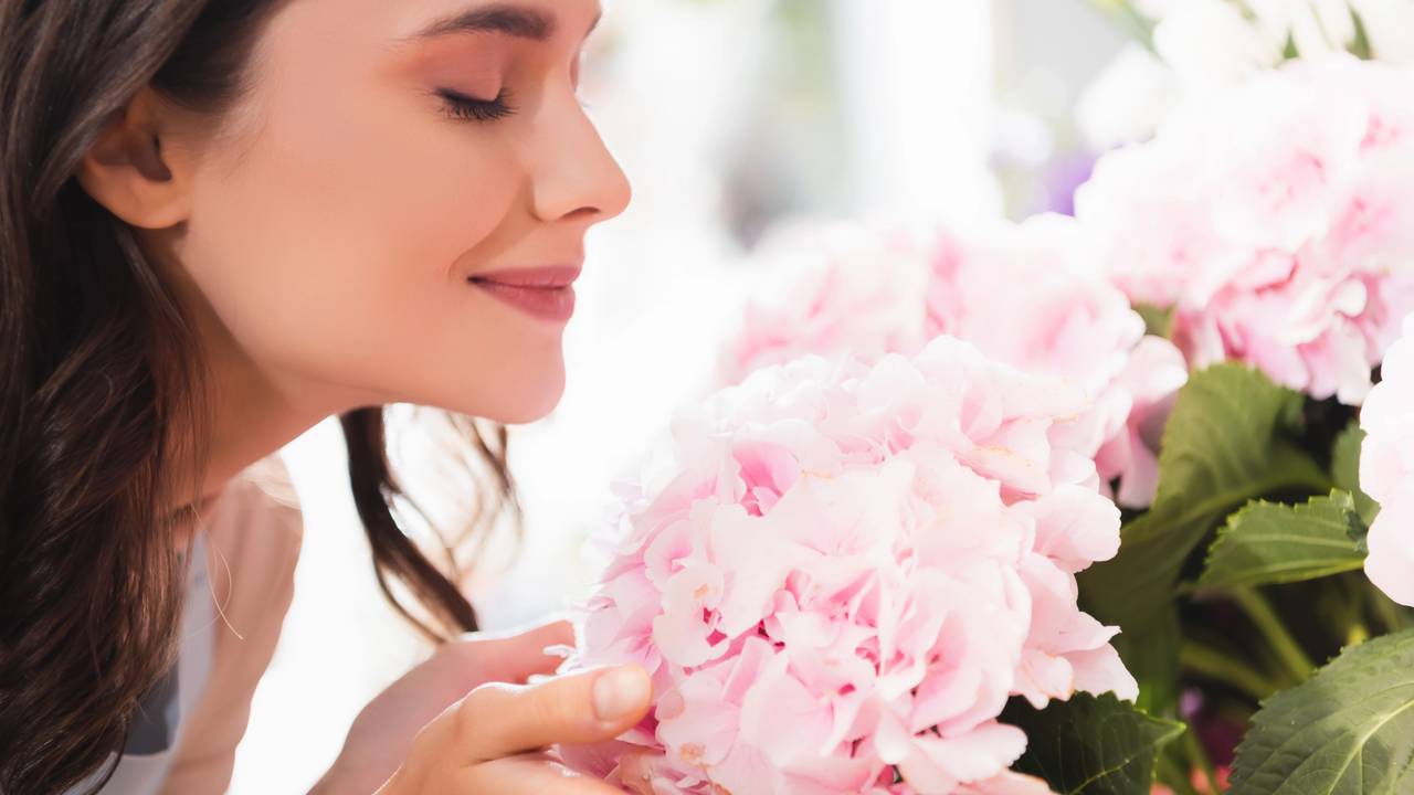 O motivo curioso que faz um cheiro trazer lembranças inteiras do nada