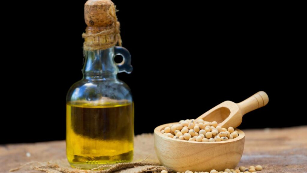 Ganho de peso inesperado pode estar ligado ao consumo desse óleo de cozinha comum