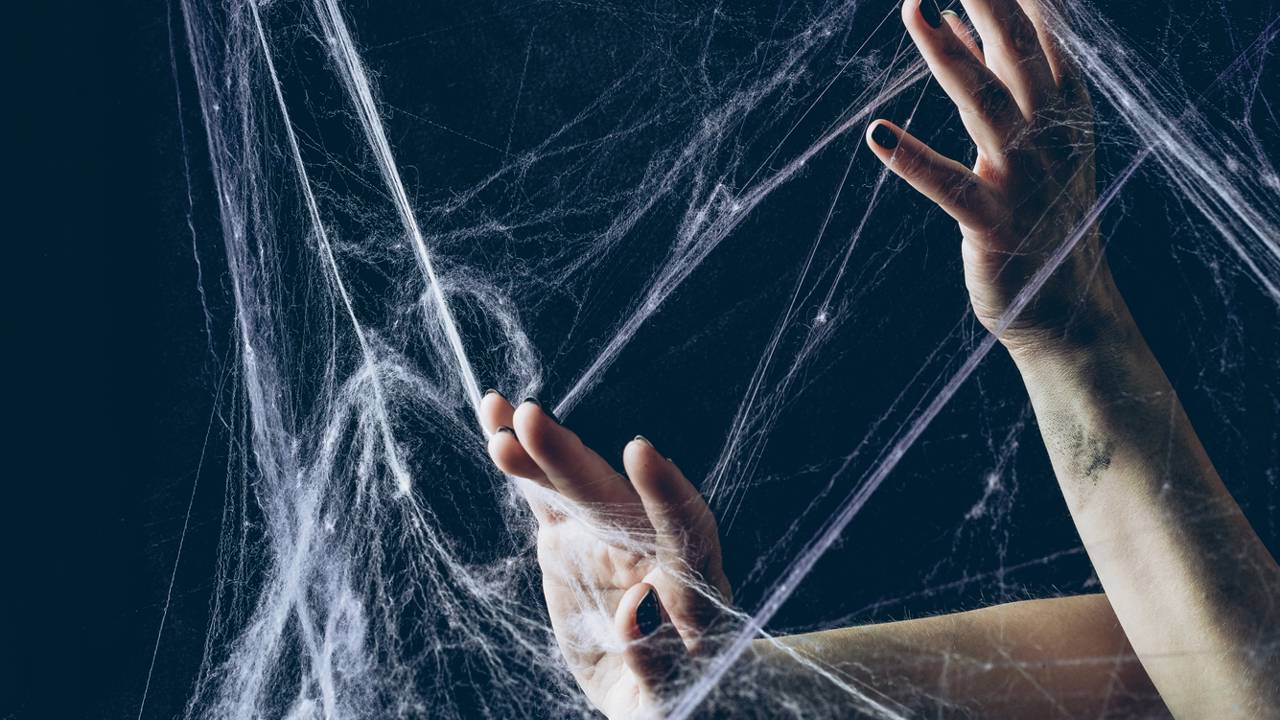 Ele testou quanto peso a teia suporta e resultado impressionou todo mundo