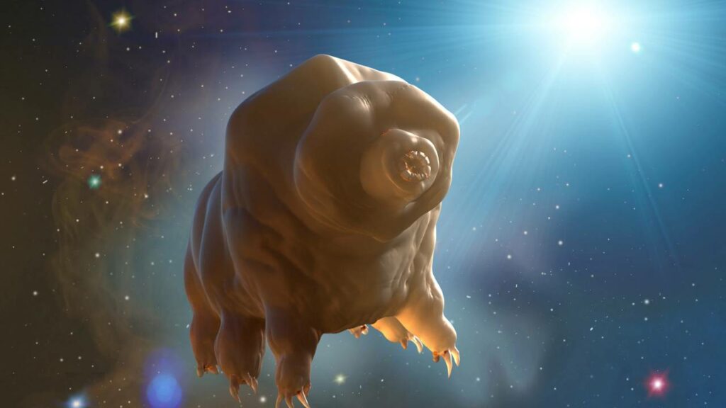 Esse bichinho no musgo do seu quintal sobrevive no espaço sideral