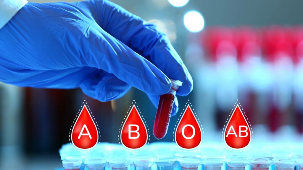 A dieta “sob medida” para o seu sangue é genial… ou só mais um mito perigoso?