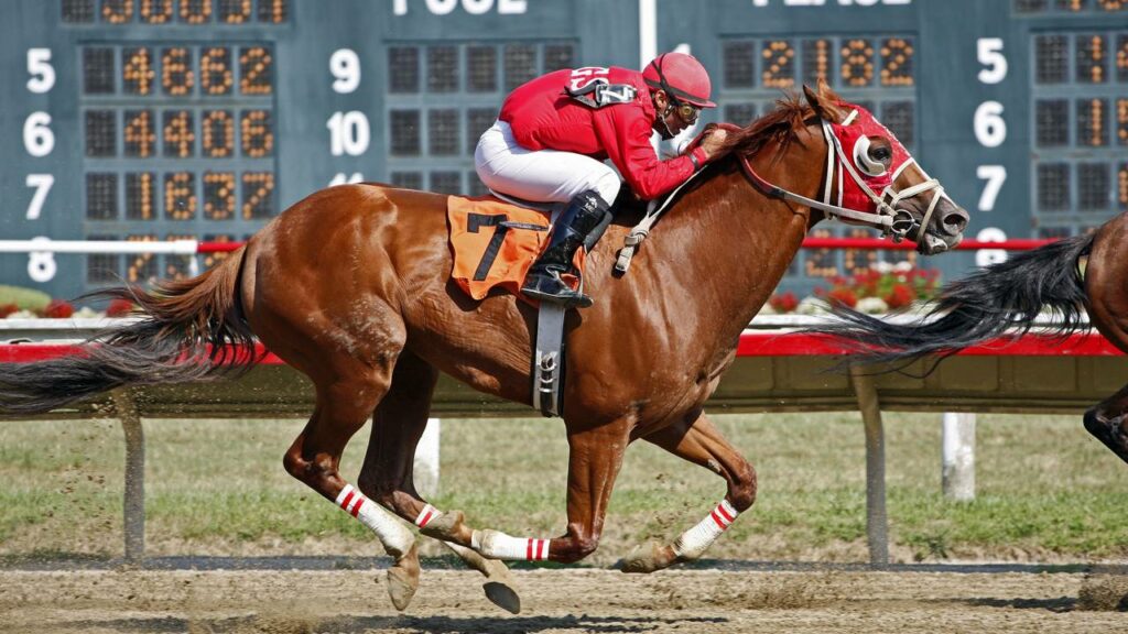 Aprendiz de jóquei morre aos 16 anos após queda de cavalo