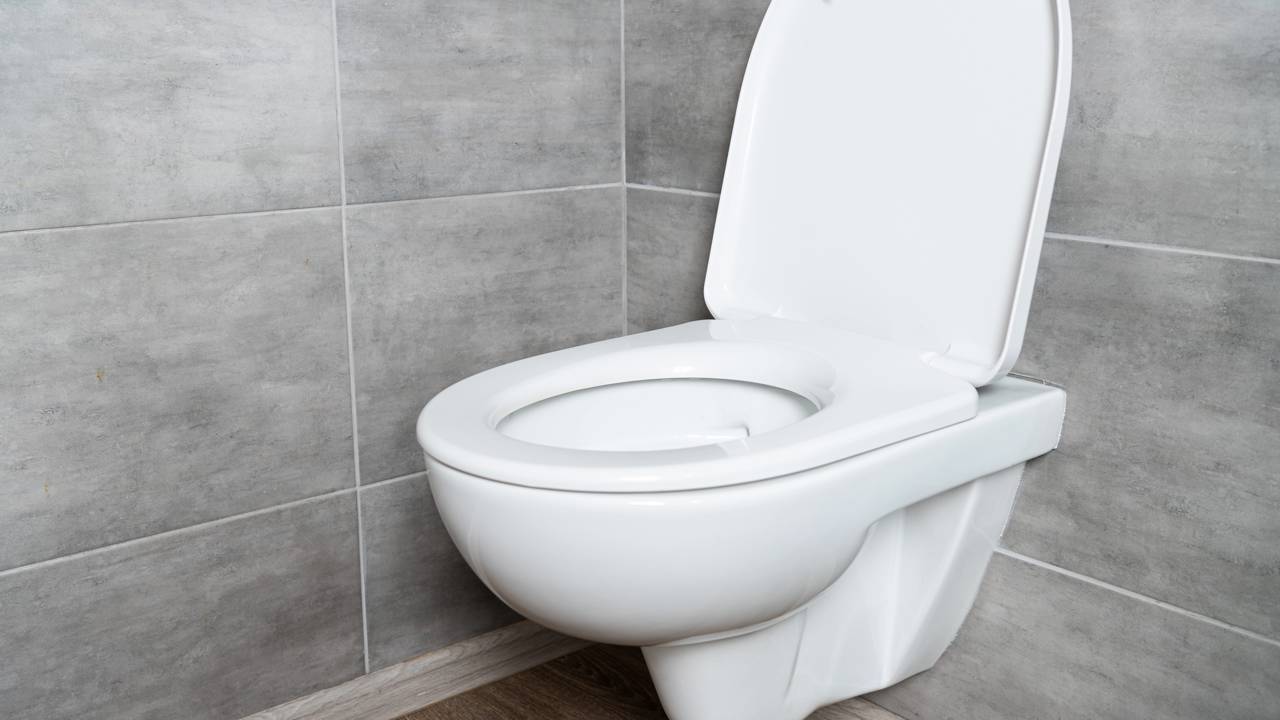 Você não vai acreditar em como é feito o vaso sanitário