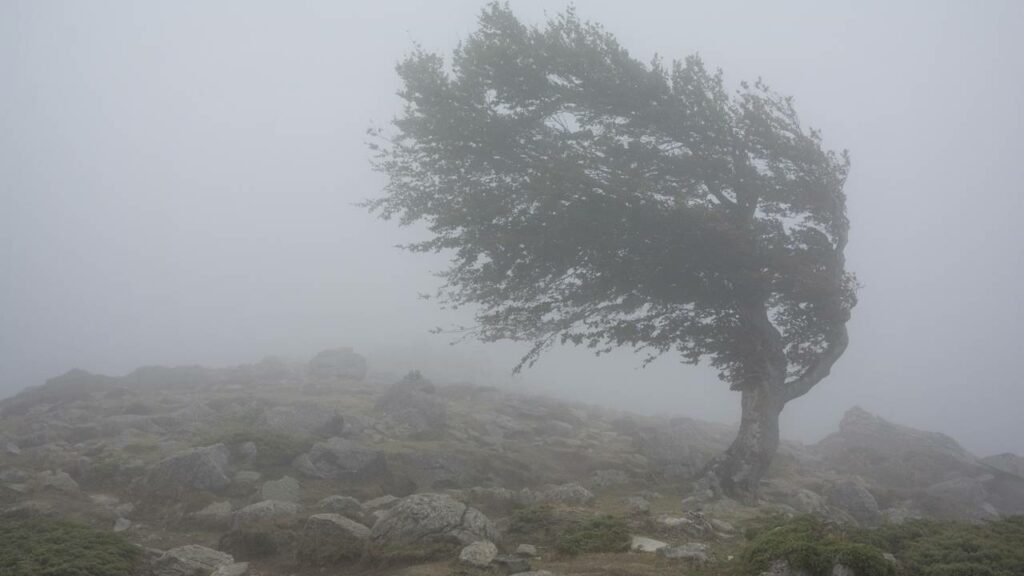 Alerta do Inmet para o risco de tempestade neste domingo, 01/03; veja as regiões