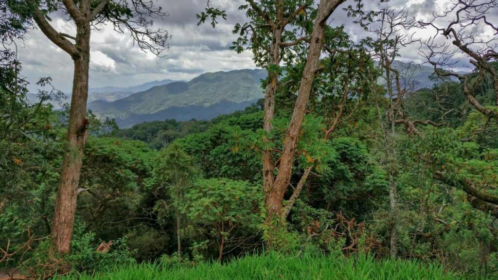 Exploradores encontram um dos animais mais raros do planeta