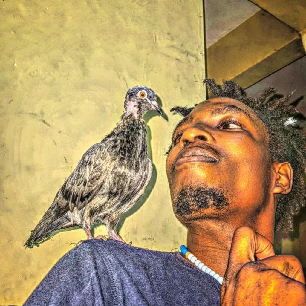 Sem‑teto vira guardião das aves e está revolucionando Nairobi